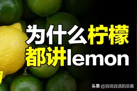 全世界的柠檬都读Lemon？这背后有一个刻在8号染色体上的上古故事图片