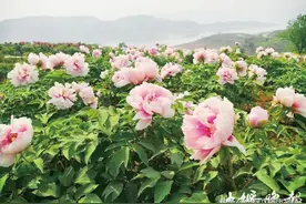 郧山汉水美如画 七条乡村游线路等你来图片
