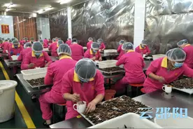 邵阳市举办点卤“宝庆工匠”技能竞赛图片