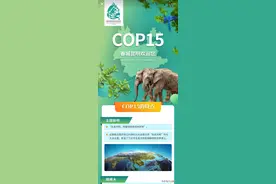 护航cop15丨一图带你了解COP15！图片