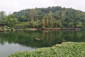 村长与翠花4图片