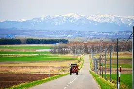 很牛的爷俩（百姓故事）图片