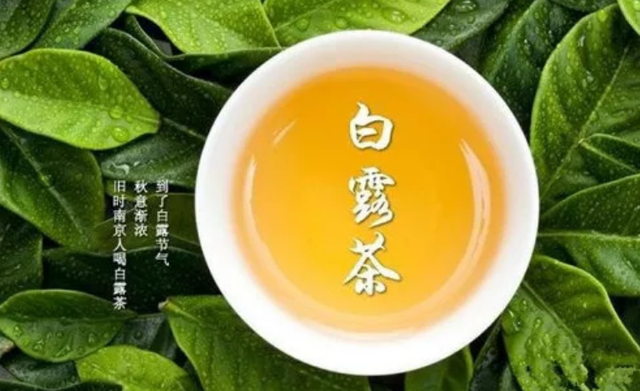 为何老话说“要喝茶，秋白露”？白露茶好在哪里？怎么喝更健康？