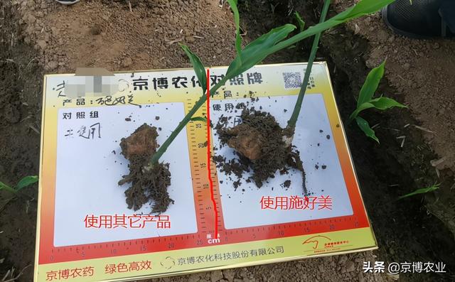 作物根系少？看如何爆发式生根