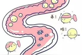 益生菌挑选三条黄金法则图片