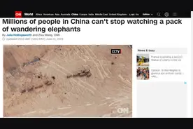 云南象萌翻全世界！外网追直播“吸大象”，夸中国护象措施太可爱图片