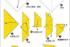 美丽的蝴蝶，一起来学习折纸蝴蝶图片