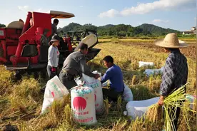 提醒！2021年，农民的“3证1卡”，没办理的一定要抓紧了图片