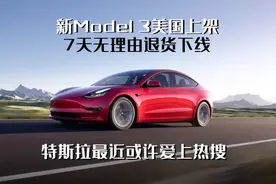 新毛豆3美国上架，信心保障计划下线，特斯拉或许就爱上热搜？图片
