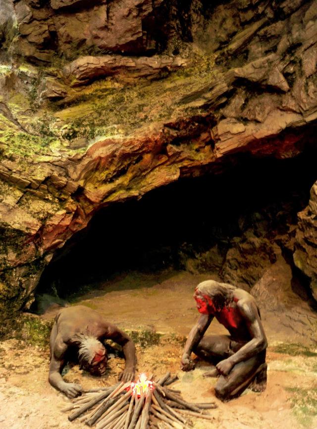 古代鹿角化石价格