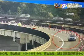 金毛犬“越狱”高速上溜达险象环生 狗主人竟浑然不知图片
