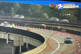 金毛犬“越狱”高速上溜达险象环生 狗主人竟浑然不知图片