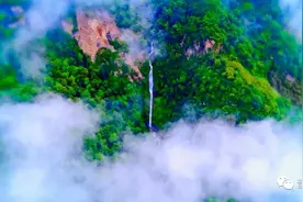 景东：护好绿色根基 脱贫迈向小康图片