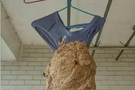 男人的内裤究竟可以穿多久？图片