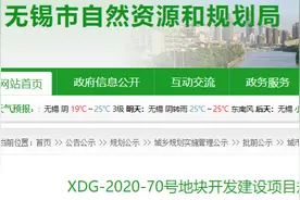 确认了！金茂、力高、金地联合操盘！规划42栋6层高住宅图片