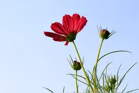 一个人不想和你聊天的表现，如果他有，就不要再打扰了图片