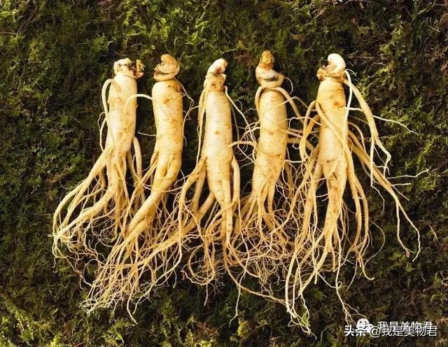 闊╁浗涓ゅぇ椤剁骇鎶よ偆鍝佺墝鐫＄湢闈㈣啘姣旀嫾锛佸埌搴曡皝鏇磋儨涓€绛癸紵