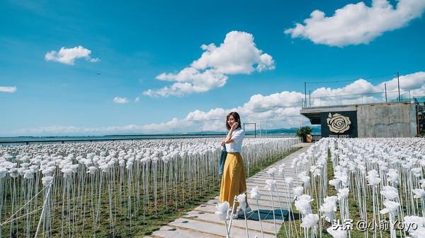 菲律宾｜逃离冷冷的冬天飞去热带的岛屿享受阳光与海滩