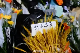 送别袁老，我见到了中国人最极致的浪漫图片