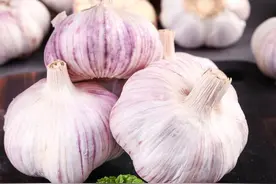 种大蒜和囤大蒜年净利润100万？图片