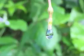 做白内障手术前该如何挑选人工晶体（一）图片