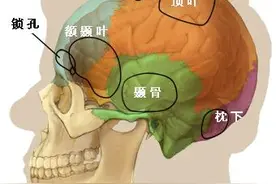 开颅手术的简单介绍图片
