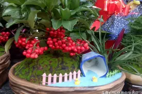 好马配好鞍好花配好盆图片