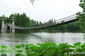 「CET-4提纲作文」Preserving the Environment图片