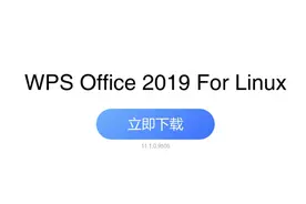 WPS Office 2019 For Linux - update(11.1.0.9505)图片