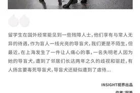 “毒死导盲犬！”上海发生的这一幕，揭露了人性最丑陋的恶意图片