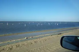 非洲游记 - 纳米比亚鲸湾港图片
