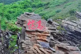 大连蛇岛是怎么成的？为何有那么多毒蛇，2万条毒蛇如何活下来？图片