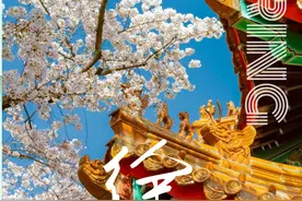 徐州人春游踏青必去的6个烧烤圣地！赏花、放风筝...想怎么嗨都行图片