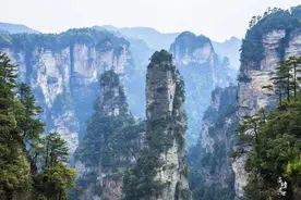 《阿凡达》再度成为全球票房冠军，张家界又火了，网友：好想去图片