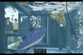 《啪嗒啪嗒》：生死的抉择受困于人性，遵循的也只是最原始的本能图片