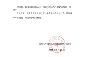 偶像的力量图片