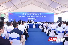 “疫战”之下更生胆气 长沙“巨无霸”厂房提前20天封顶图片