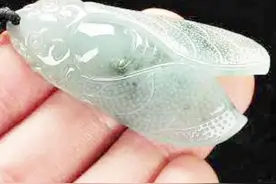 美女缺钱带“玉蝉”鉴宝，声称戴了10年，专家：胆子真大图片