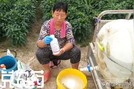 农药兑好后，放多久会失效？喷洒农药，兑药也有讲究图片