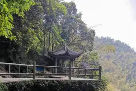 三岁男童景区路边小便后，他妈妈从悬崖掉了下去……图片