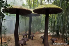 畅游大岭山森林公园，赏水库与山峦环绕相映之景，湖光山色图片