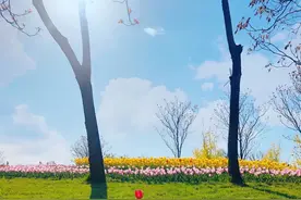 《水浒传》测试题资料十图片