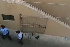 广州番禺一交警将外卖小哥狠踹倒地致其住院 警方已介入调查视频封面