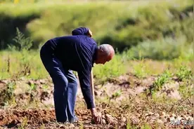 农村户口迁入城市，承包的土地会被回收吗？土地承包期内还是你的图片