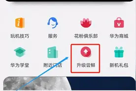 鸿蒙OS正式版的两种升级方式，步骤简单，看完就懂了图片