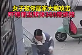 一招制服丨女子被大鹅攻击使出链球绝技图片