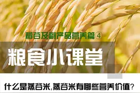 蒸谷米&半煮米知多少~图片