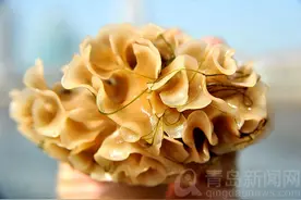 青岛市民赶海偶遇奇特生物，专家比对确认身份，它叫：大室棘苔虫！你认识吗？图片