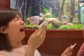 宝妈得知自己怀二胎，哭着说“我完了”，惹得儿子在一旁落泪图片