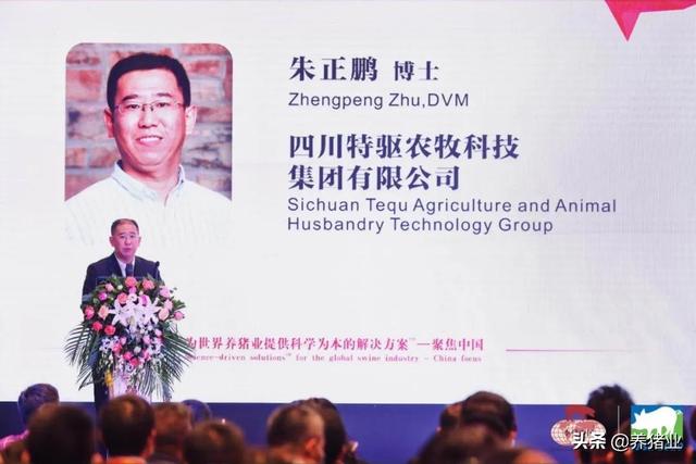 李曼大会听课笔记连载（二）（母猪营养、生长速度、应激、无抗）